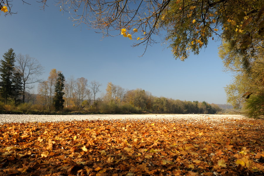 20081025 143242Herbst Isar
