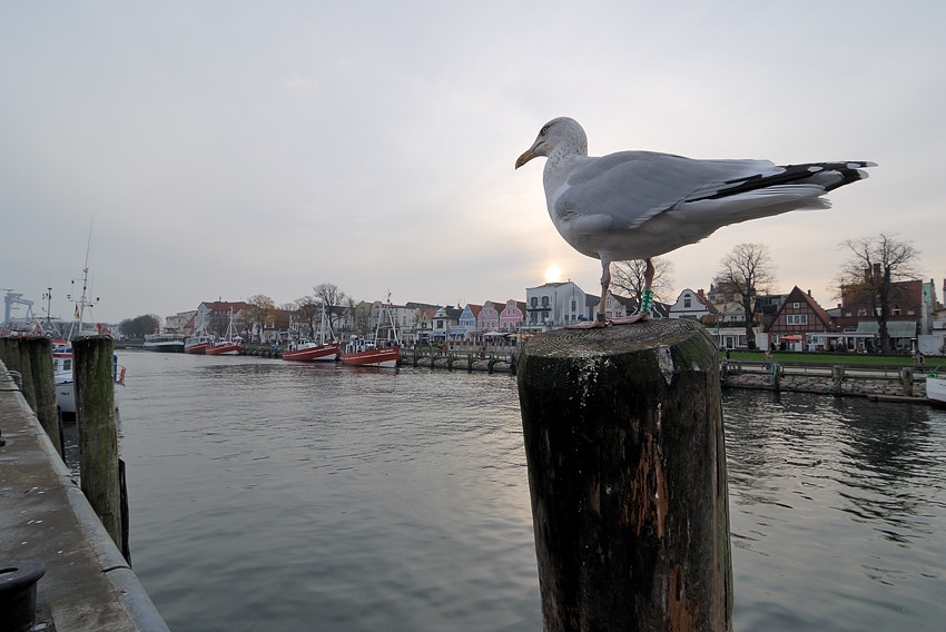 20081108 10 Warnemünde