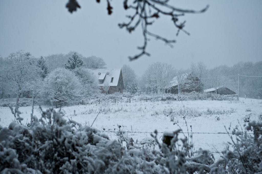 20081124 5155 [D700]   F4,0 58,00mm
