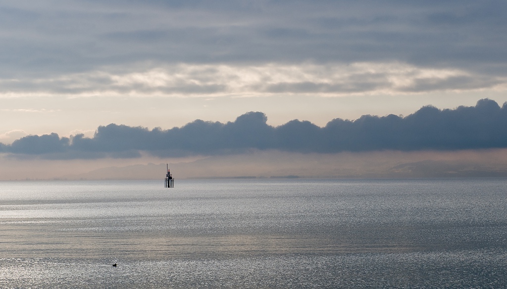 20081126 5198 [D700]   F8,0 70,00mm