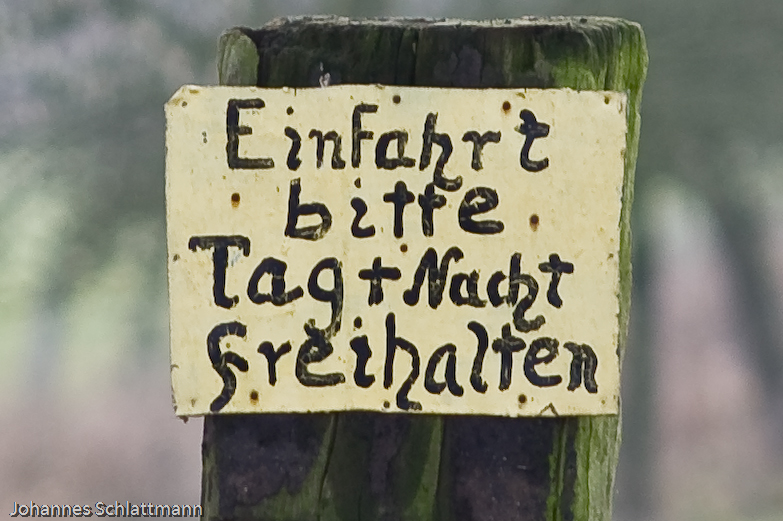 20081130 5367 [D700]   F3,5 135,00mm 3