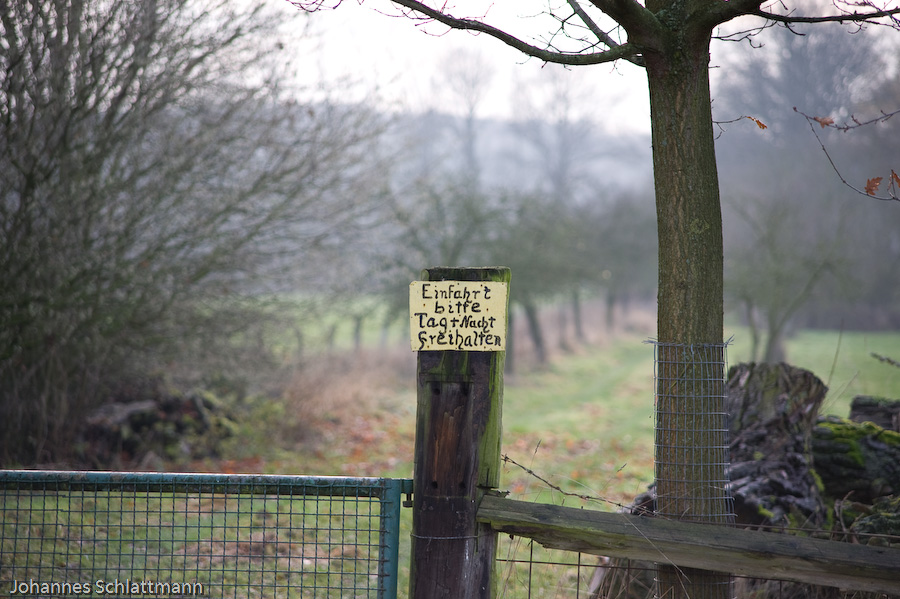 20081130 5367 [D700]   F3,5 135,00mm