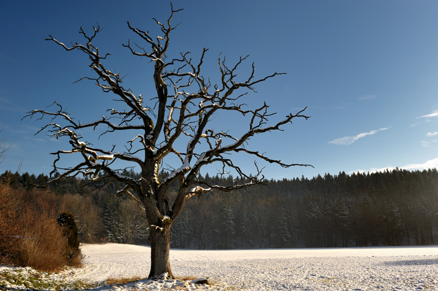 20081214 135034Winter Muehltal