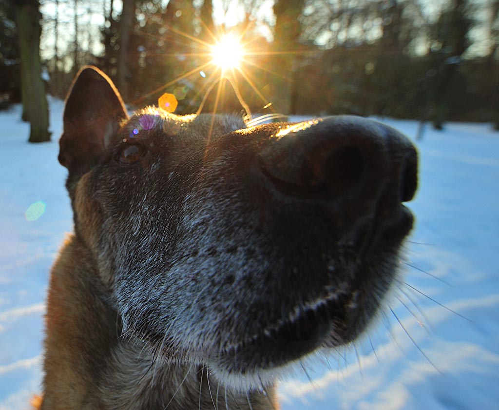 2009 01 10 Duesseldoof mit mirjam D7C 1869 crop