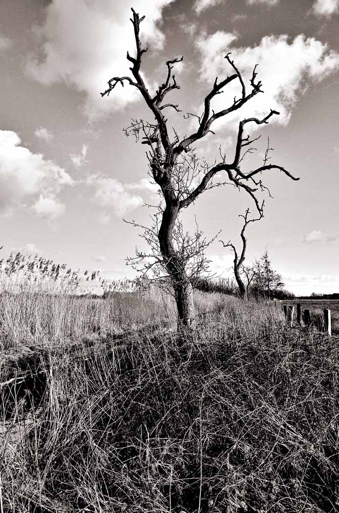 2009 02 14 15 43 41 1 sw