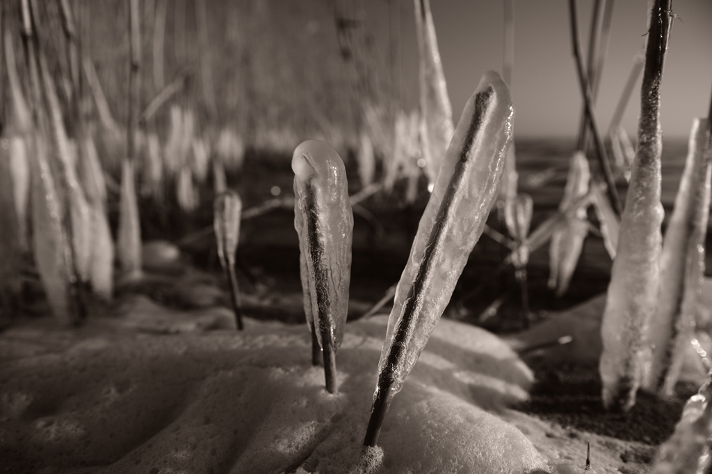 2009 02 17 03