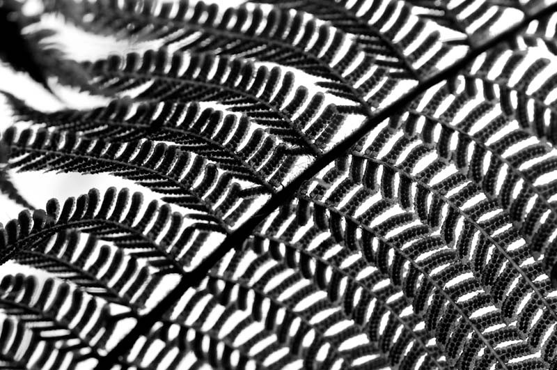 2009 04 18 0054