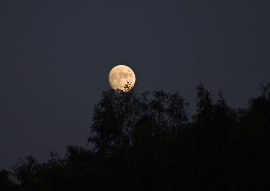 2009 06 05 Mond 1
