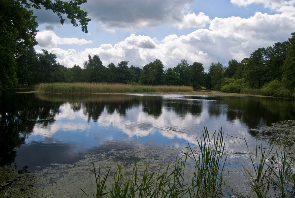 2009 06 05 Teich bei Biehla