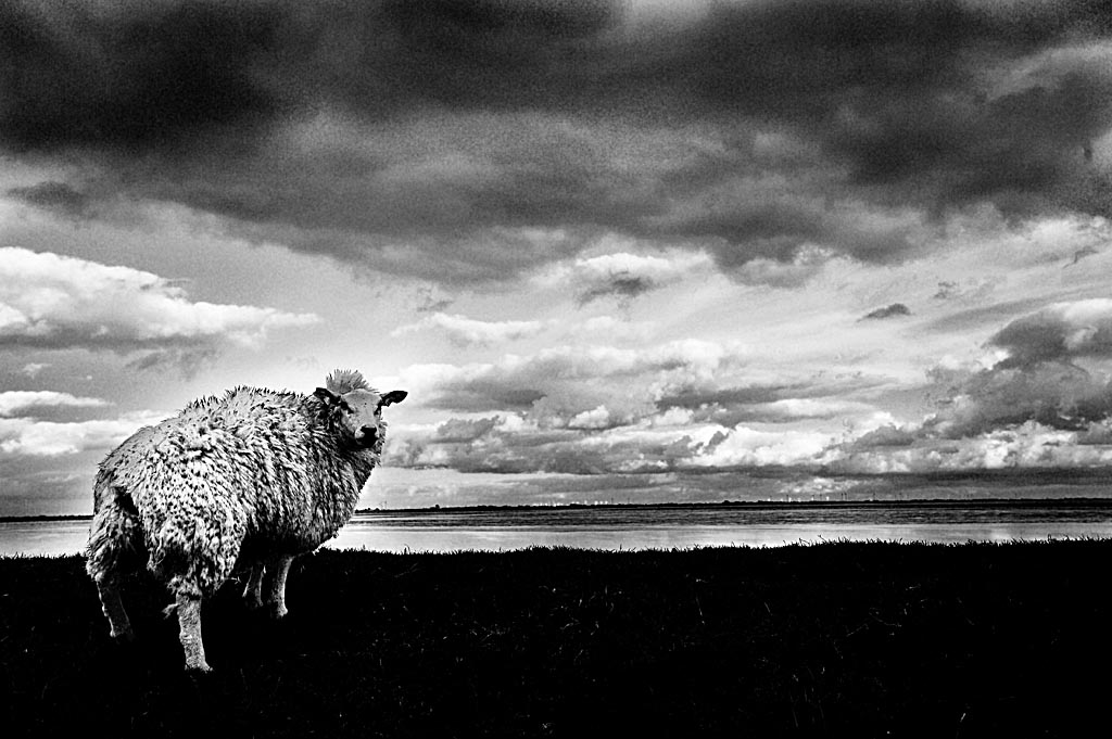 2009 06 11 Weltreise Nordsee D7C 1625 sw