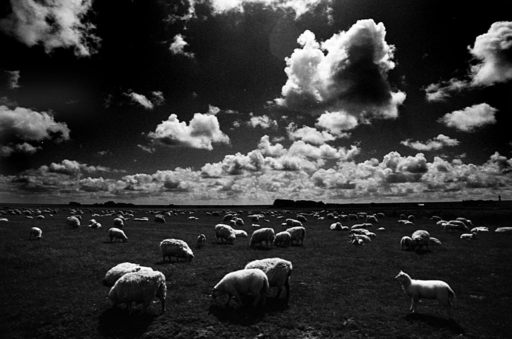 2009 06 FM2 APX100 Mommenheim Wacken Nordsee  043 ps1