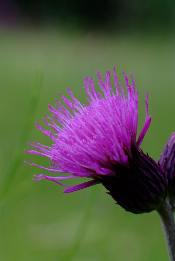 2009 06280085 vergleich