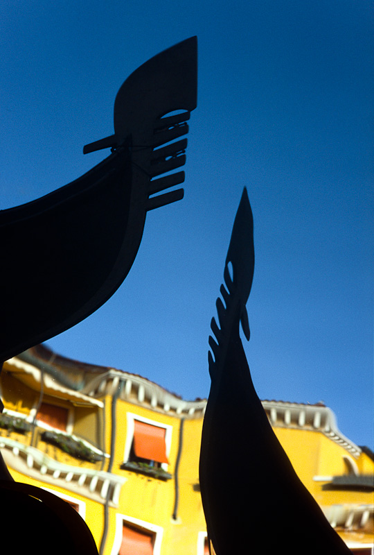 2009 (1 of 1)
