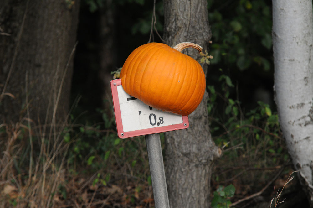 2009 10 02 17 14 26 1