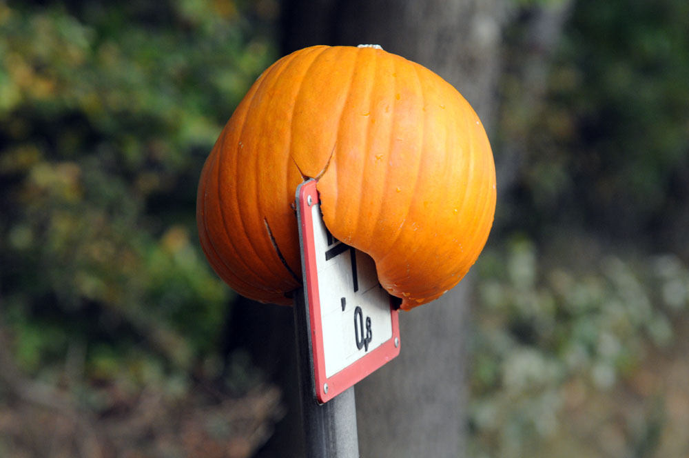 2009 10 02 17 14 57 1