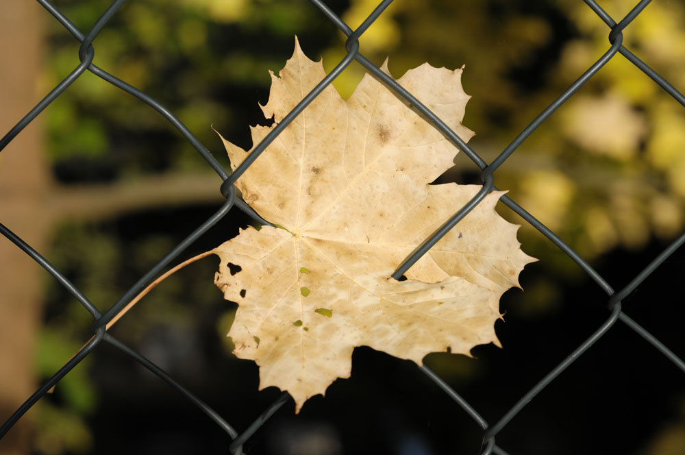2009 10 21 16 03 33 1