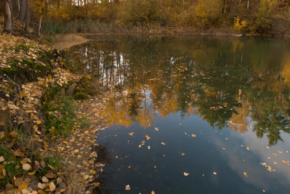 2009 10 31 Teufelsberg Siegelung