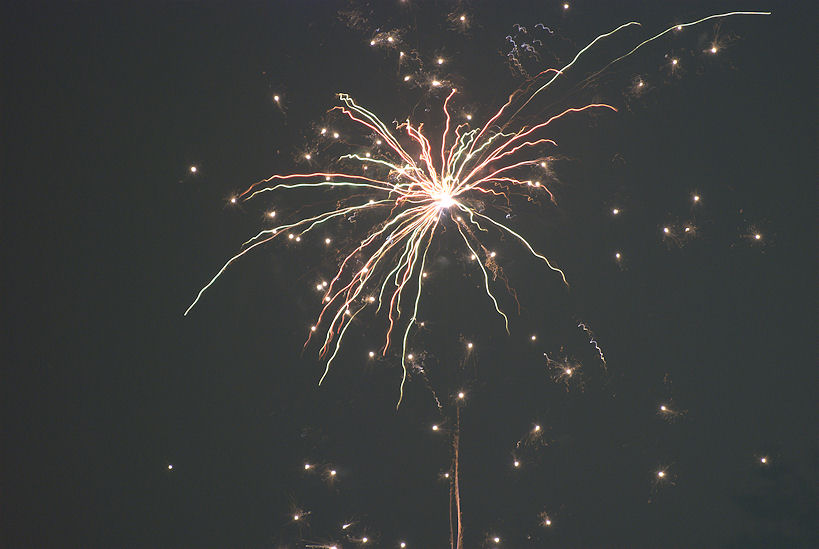 2009 beginnt