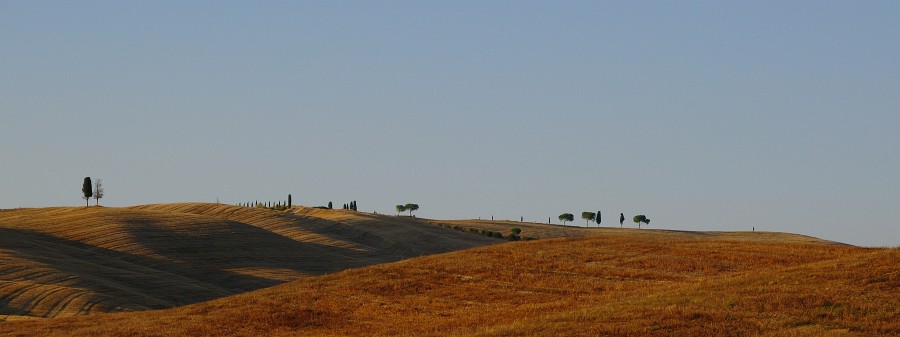 2009 Toskana 10