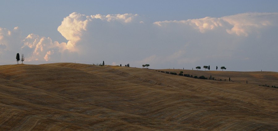 2009 Toskana 18