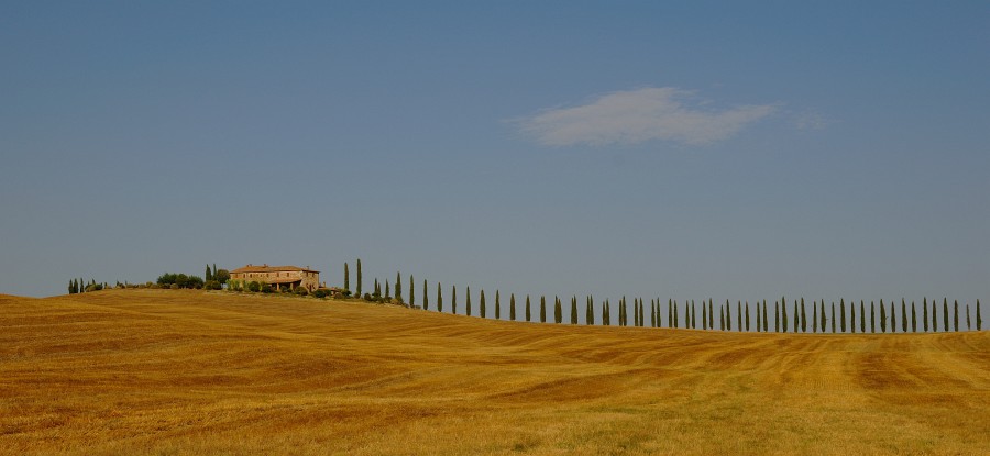 2009 Toskana 7