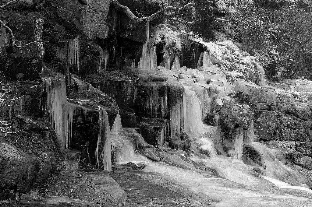 20090101 027 bw