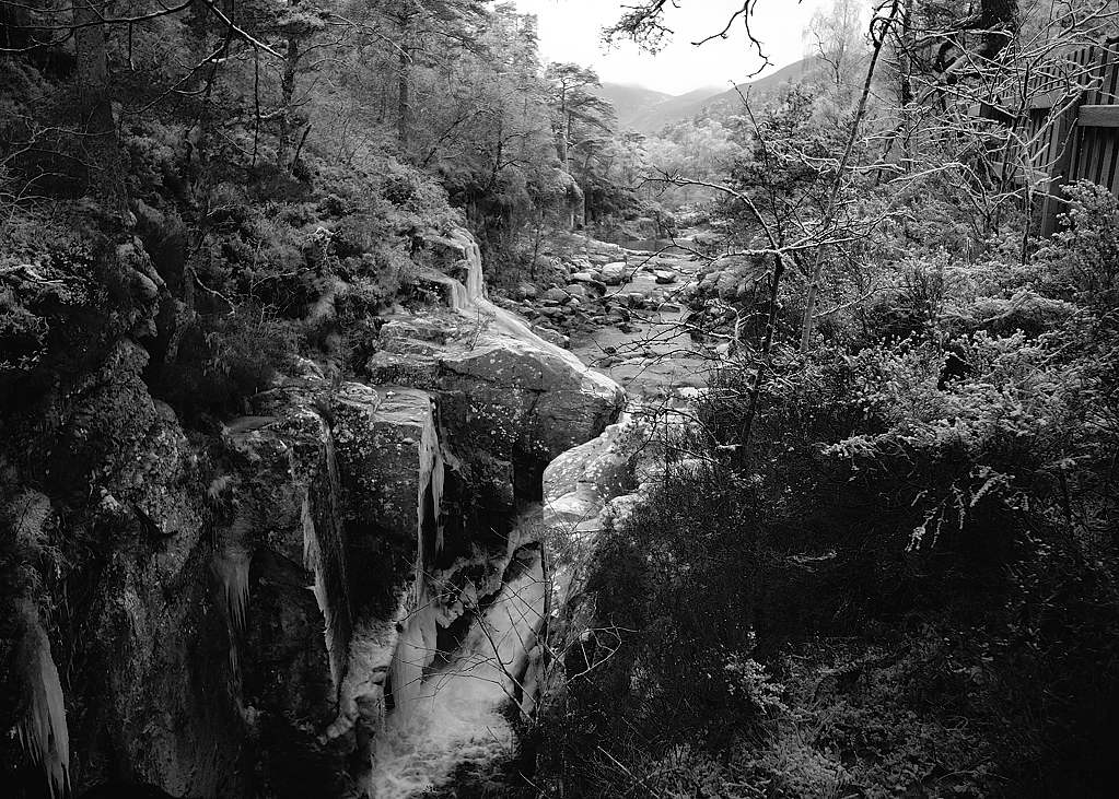 20090101 040 bw