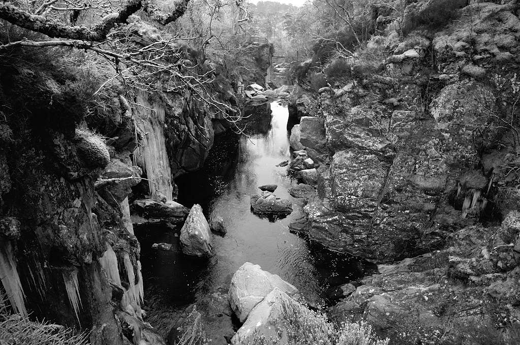 20090101 044 bw