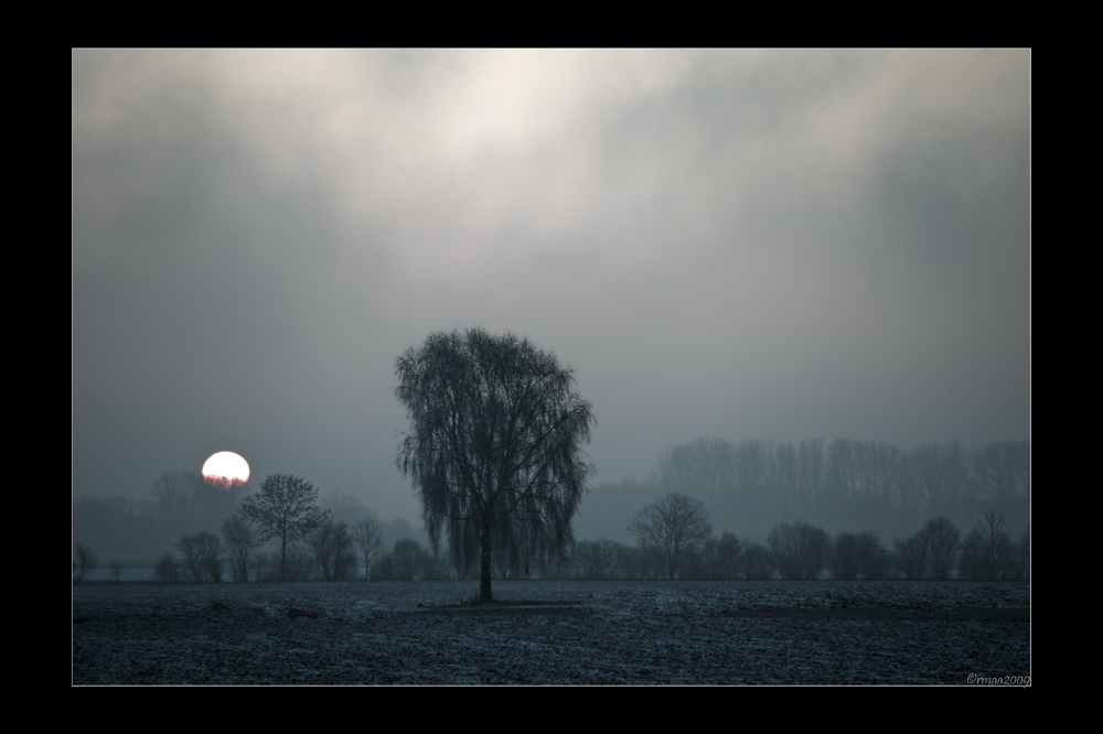 20090103091513 8968 g1000x666x231kb