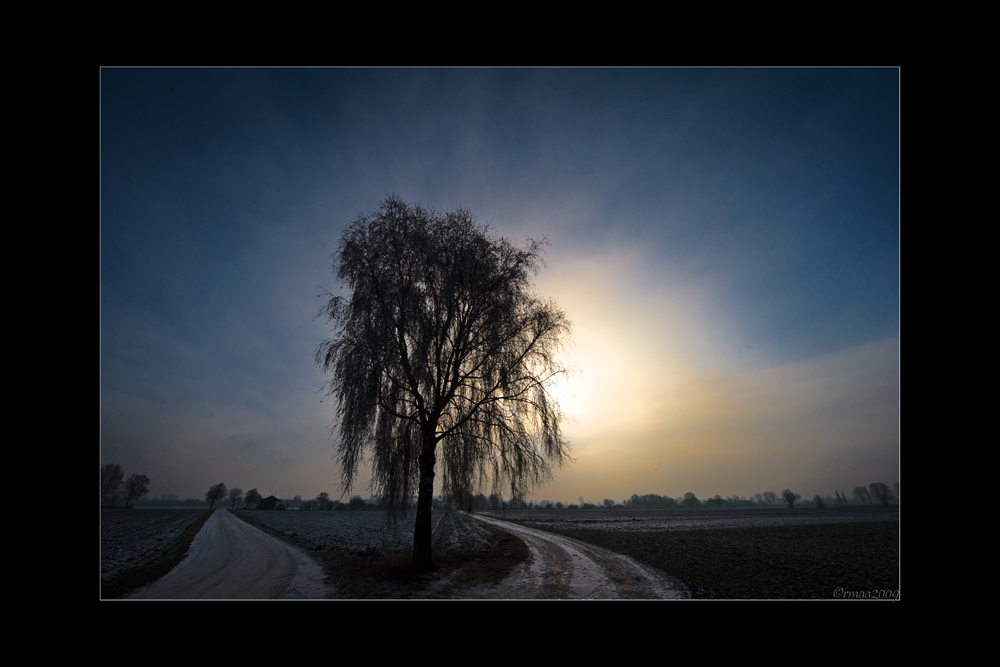 20090103115611 9228 g1000x667x250kb
