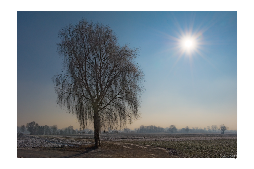 20090110132846 9336 g1000x666x295kb
