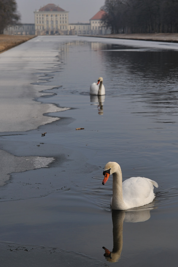 20090116 125510 Nymphenburg