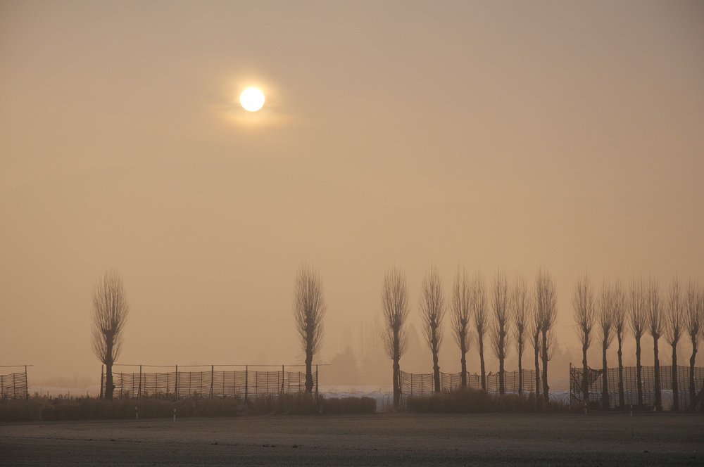 20090205 092534 D3N 7042 Februar
