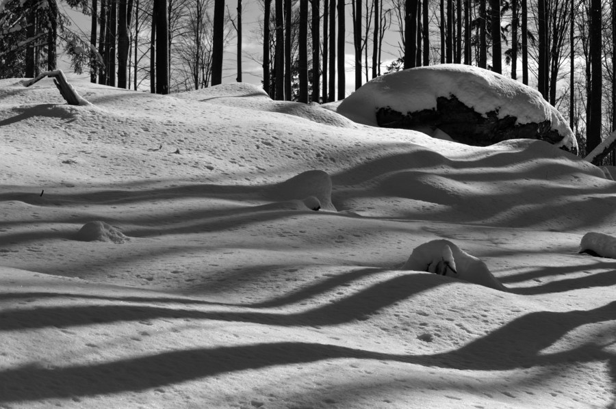 20090214 125017 NFF Bayerwald