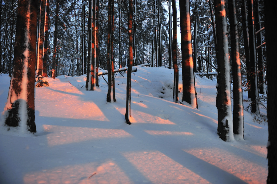 20090214 171545 NFF Bayerwald