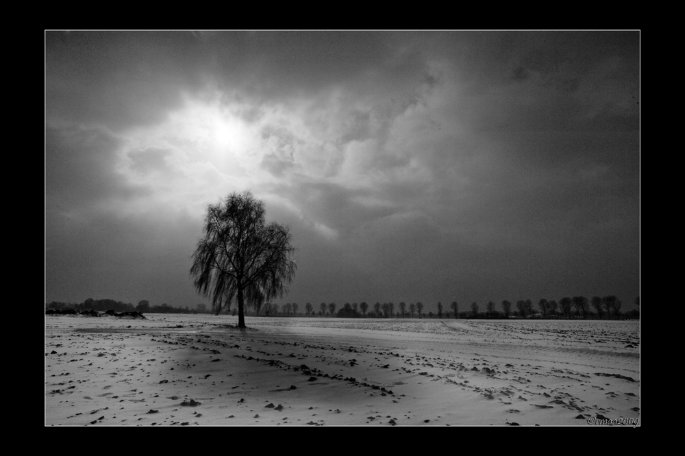 20090214125352 0690 g1000x666x254kb