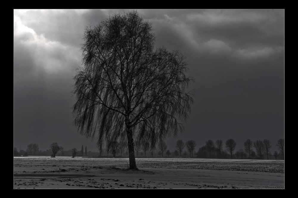 20090214125520 0692 g11000x666x254kb