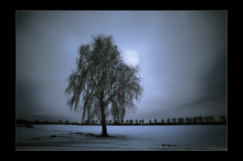 20090221181110 0864 g1000x666x267kb