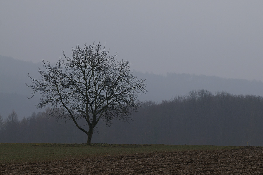 20090302 144113 ps