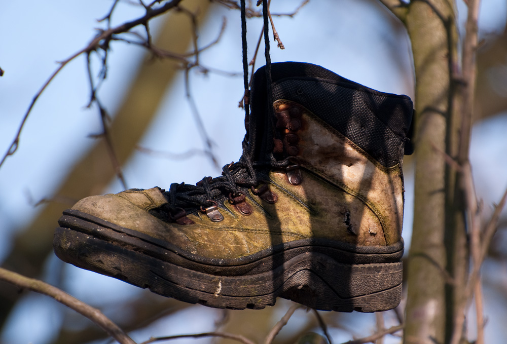 20090307 DSC 0046