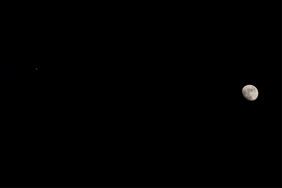 20090406 DSC 3291 web