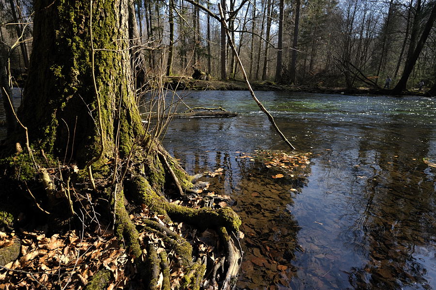 20090410 152254 Muehltal