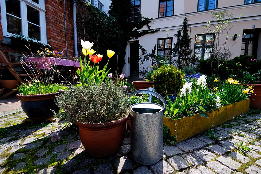 20090414 05 Rostock