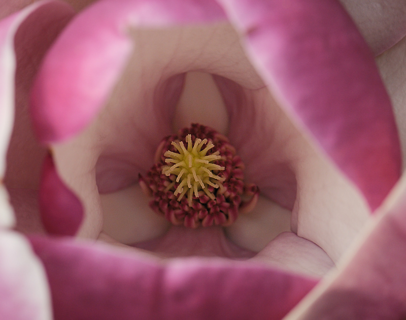 20090414 102057 ps