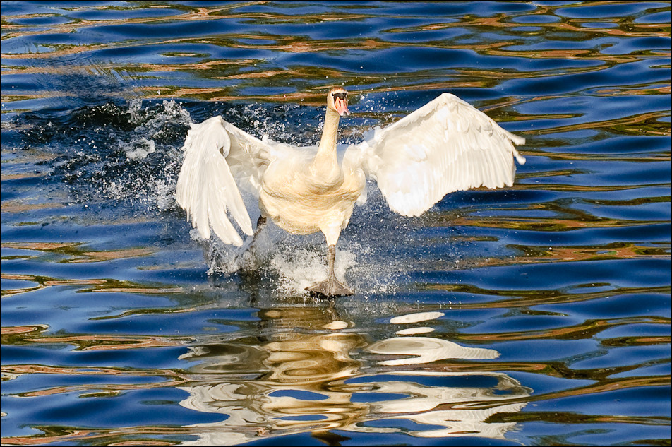 20090416 JW 078