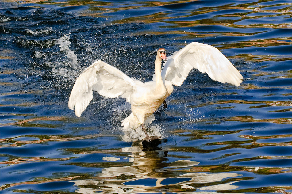 20090416 JW 079