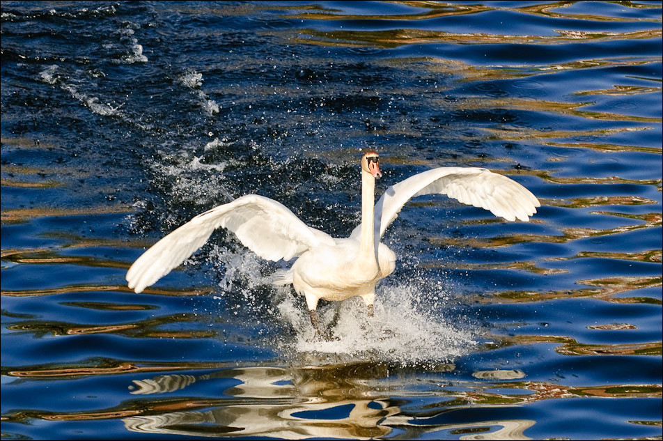 20090416 JW 080