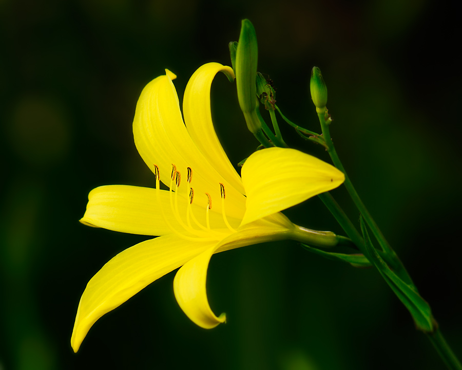 20090509 161757ps