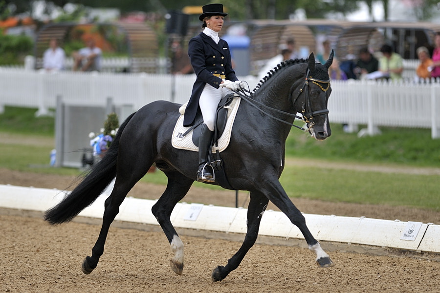 20090524 094849 Pferd Internatio