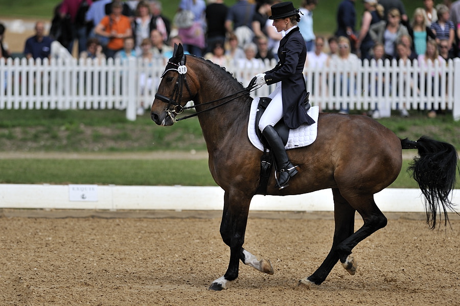 20090524 105757 Pferd Internatio